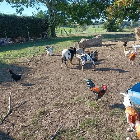 Holiday home Gite Du Mottay