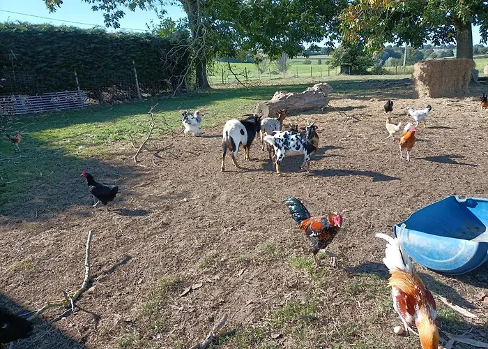 Holiday home Gite Du Mottay