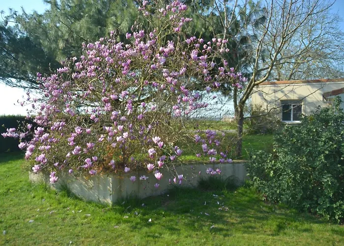 Gite Du Mottay Дом отдыха *